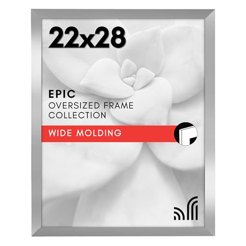 22x28 Poster Frame