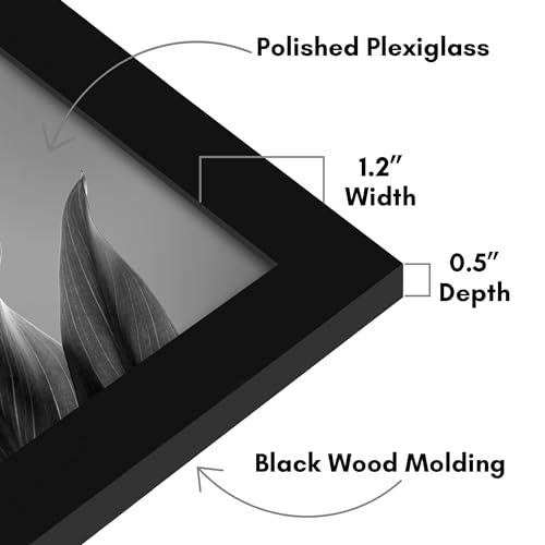 20x32 Poster Frame