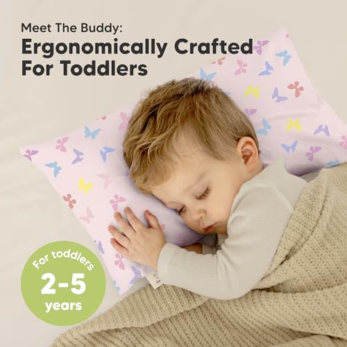 Toddler Pillow with Pillowcase