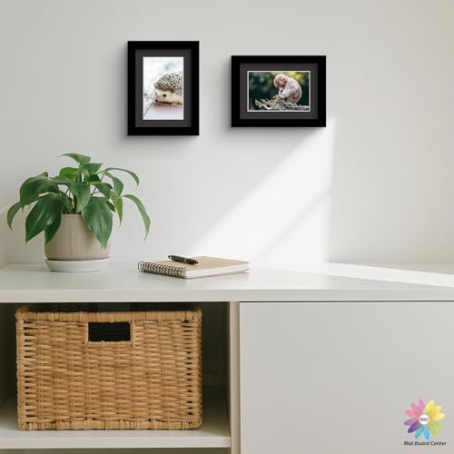 Mat Board Center (25 Count)