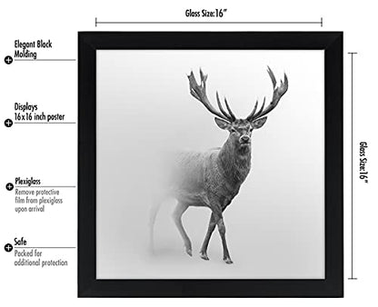 16x16 Poster Frame