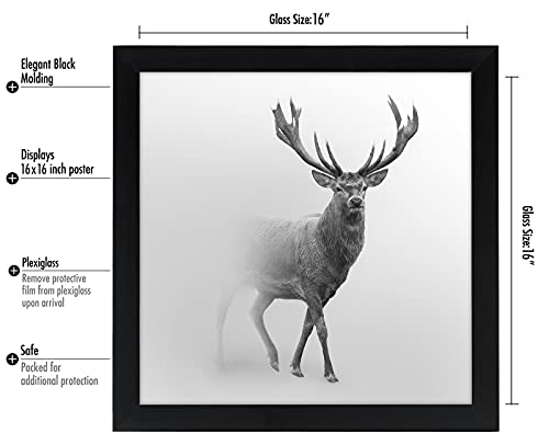 16x16 Poster Frame