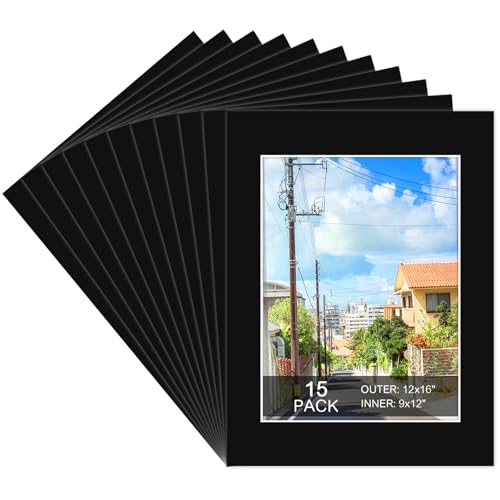 15 Pack Picture Mats 12x16 for 9x12 Photos (15 Count)