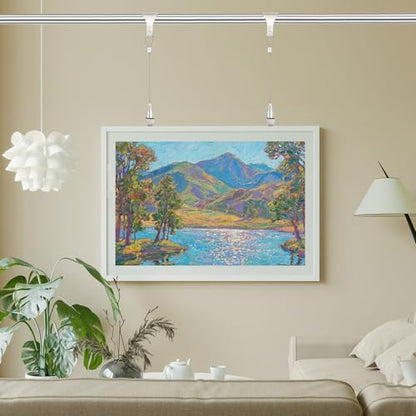 2Pcs Picture Hanging Wire Kit (2 Count)