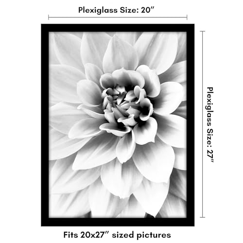 20x27 Poster Frame