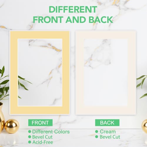 15 Pack Picture Mats