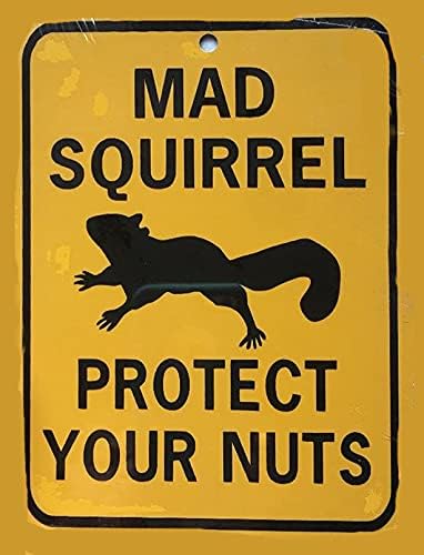 Funny Tin Sign Mad Squirrel Protect Your Nuts Metal Poster Plaques for Home Living Room Kitchen Cafe Bar Vintage Wall Decor Metal Sign 12 x 8 IN