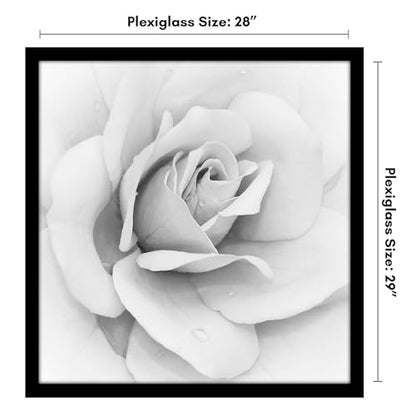 28x29 Poster Frame