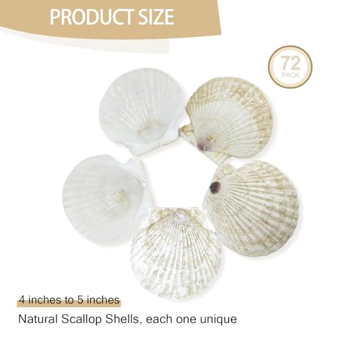 60PCS Scallop Shells for Crafts Large Beach Natural Shells Bulk for Decoupage DIY Crafts Seashell Decorations Home Decor White 4''