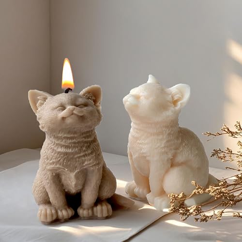 Candle Making Molds Resin Mold