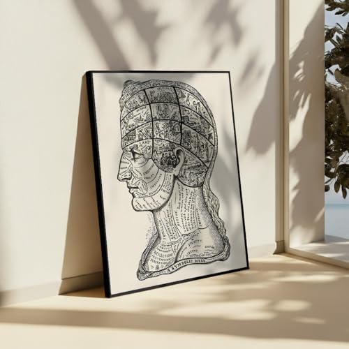 A Symbolic Head Phrenology Print 1899