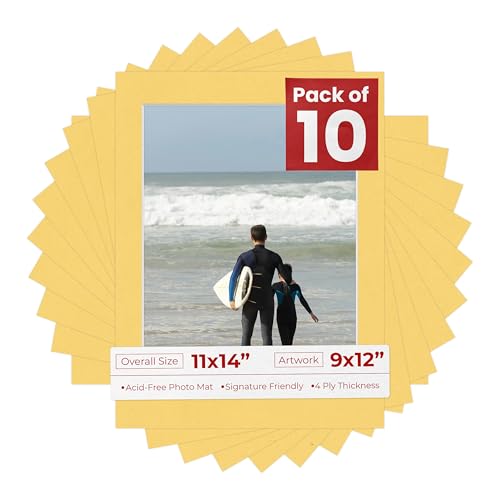 Pack of Ten Acid Free 11x14 Mats Bevel Cut for 9x12 Photos (10 Count)