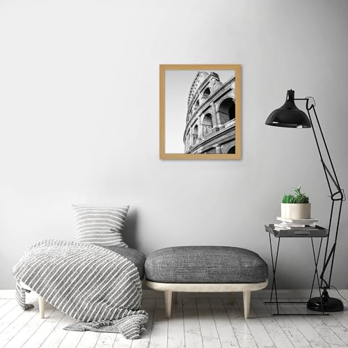 20x24 Poster Frame