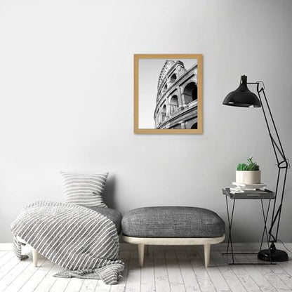 20x24 Poster Frame