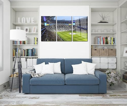 Tottenham Hotspur Stadium Tempered Glass Wall Art Painting for Living Room
