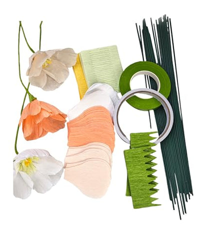Crepe Paper Flower DIY Making Kit (24 Count)