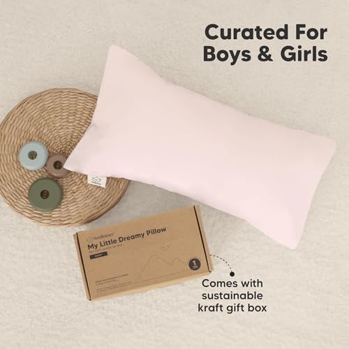 Toddler Pillow with Pillowcase