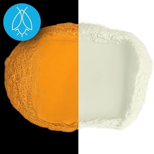 Glow in The Dark Pigment Powder (4.2329 Ounce)