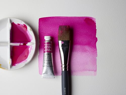 Professional Watercolor