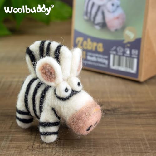 Needle Felting Starter Kit