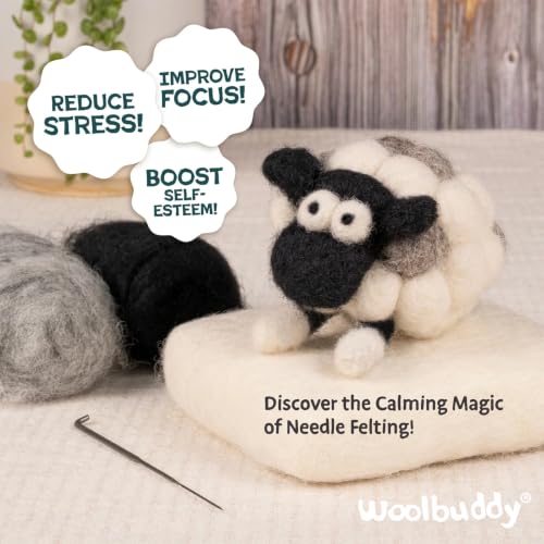 Needle Felting Kit Starter Set