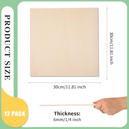 12 Pack 12 x 12 x 1 (12 Count)