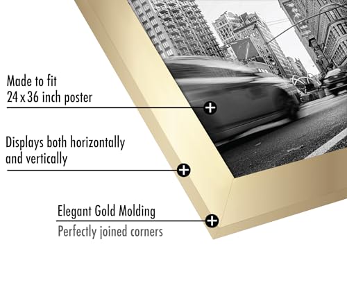 24x36 Poster Frame
