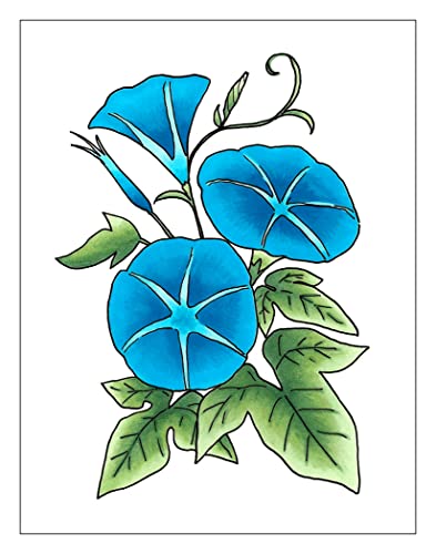 Sketch Fusion #6 Blue 3 (3 Count)