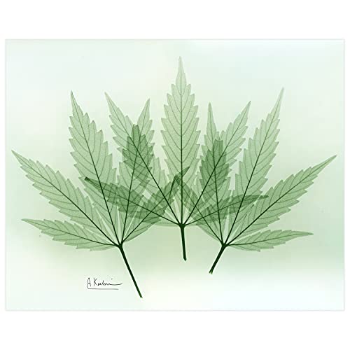 Frameless Free Floating Tempered Glass Panel Graphic Wall Art Ready to Hang