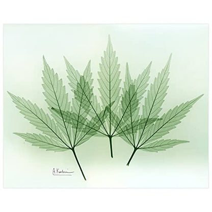 Frameless Free Floating Tempered Glass Panel Graphic Wall Art Ready to Hang