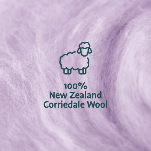 Wool Roving Kit for Needle Felting