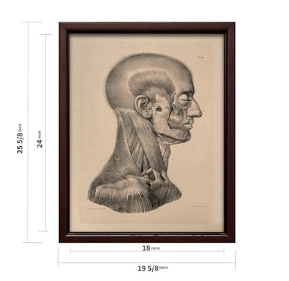 Vintage Science Canvas