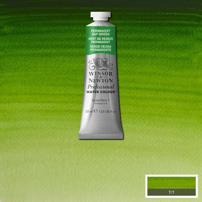 Professional Watercolor