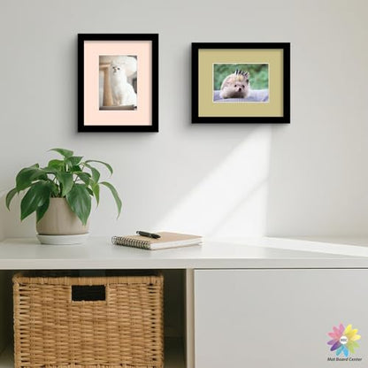 Mat Board Center 50 Pack 8x10 Picture Mat for 5x7 Photo Mixed Color