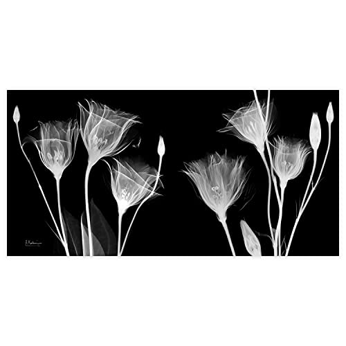 Frameless Free Floating Tempered Glass Panel Graphic Flower Wall Art Ready to Hang