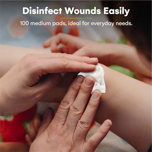 100 Pack Alcohol Wipes (100 Count)