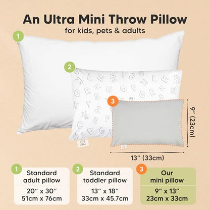 Mini Toddler Pillow with Pillowcase