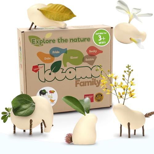 Locomo Family Resources for Learning