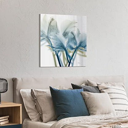 Frameless Free Floating Tempered Glass Panel Graphic Wall Art Ready to Hang