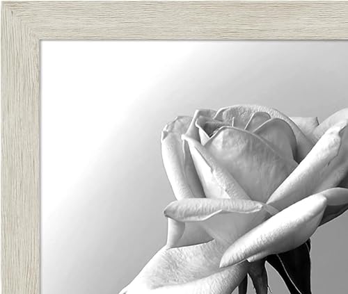 12x18 Poster Frame