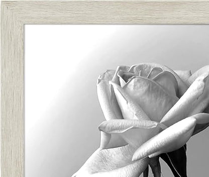 12x18 Poster Frame