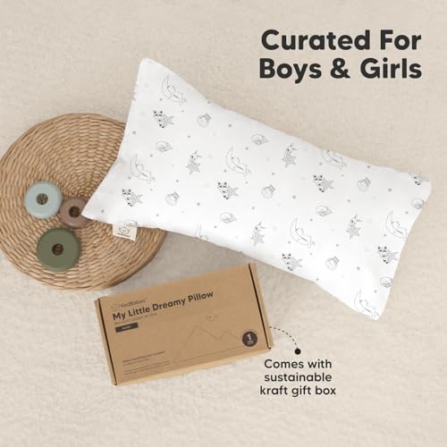 Toddler Pillow with Pillowcase