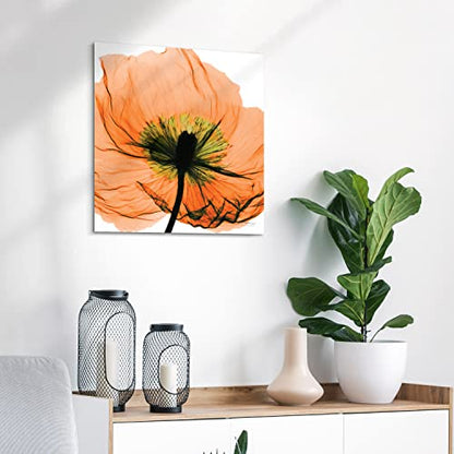 Frameless Free Floating Tempered Glass Panel Graphic Wall Art Ready to Hang