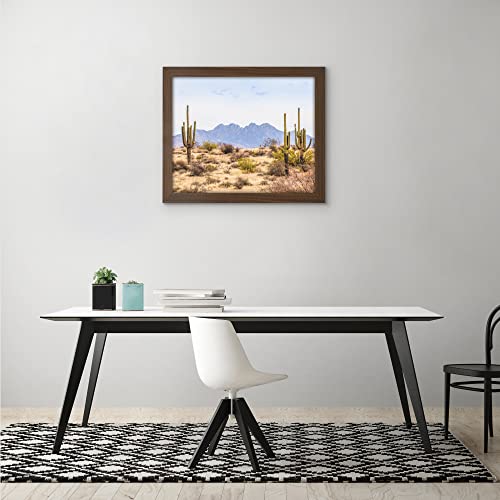 16x20 Poster Frame