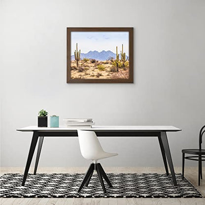 16x20 Poster Frame