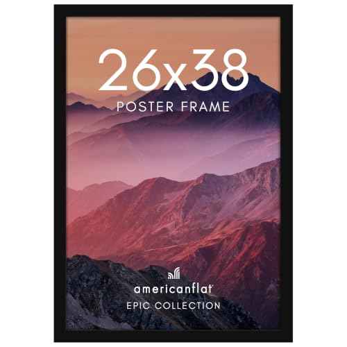 26x38 Poster Frame