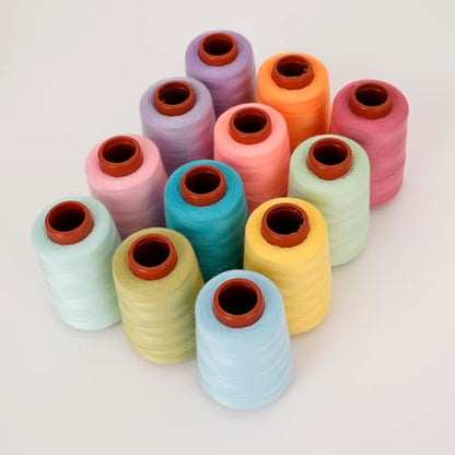 12PCS Sewing Thread Kit 30wt Spools (28800 Foot)