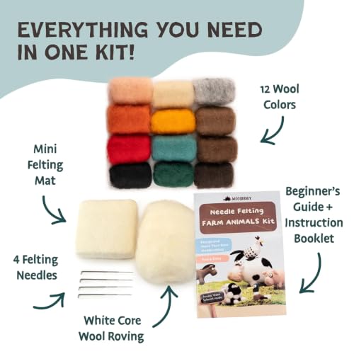 Needle Felting Kit Starter Set