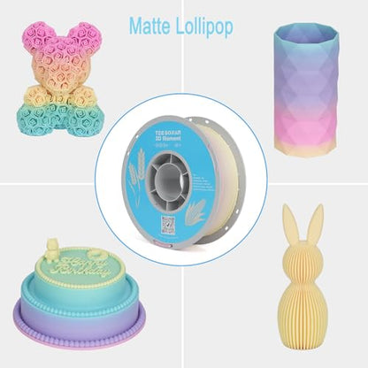 Matte Rainbow PLA 3D Printer Filament (352.7396 Ounce)