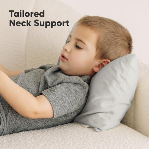 Toddler Pillow with Pillowcase